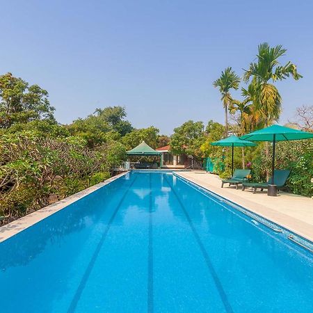 Stayvista'S Casa Palmera - Pet-Friendly Villa With Pool, Garden With Gazebo, And Indoor & Outdoor Games Alibág Kültér fotó