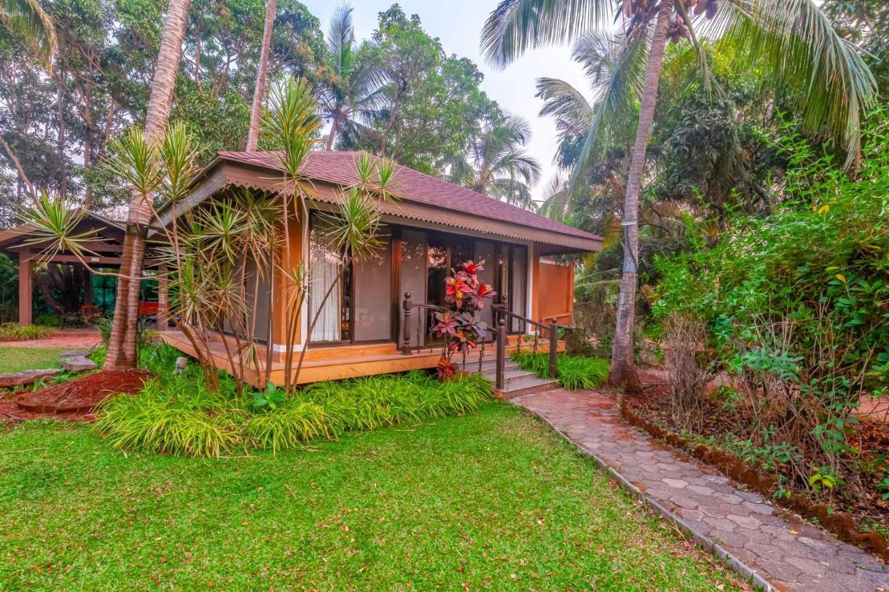 Stayvista'S Casa Palmera - Pet-Friendly Villa With Pool, Garden With Gazebo, And Indoor & Outdoor Games Alibág Kültér fotó