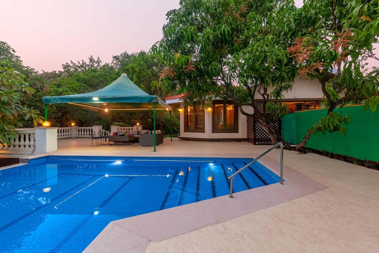 Stayvista'S Casa Palmera - Pet-Friendly Villa With Pool, Garden With Gazebo, And Indoor & Outdoor Games Alibág Kültér fotó